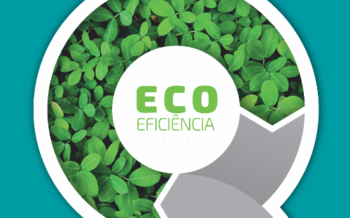 PROGRAMA ECOEFICIÊNCIA
