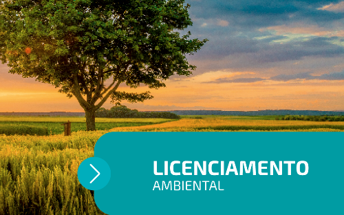 LICENCIAMENTO AMBIENTAL