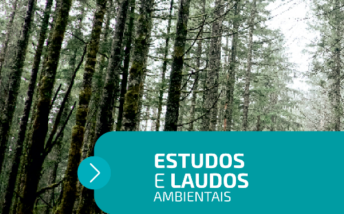 PROJETOS E LAUDOS AMBIENTAIS